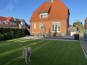 Murstenhus med hund i solrig have
